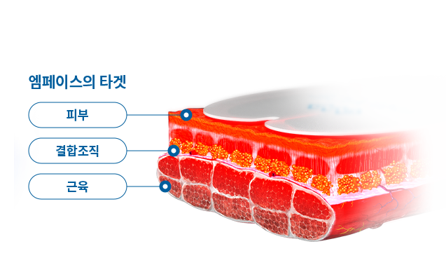 엠페이스